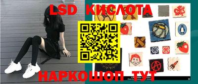 шишки Кимры