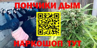 шишки Кимры
