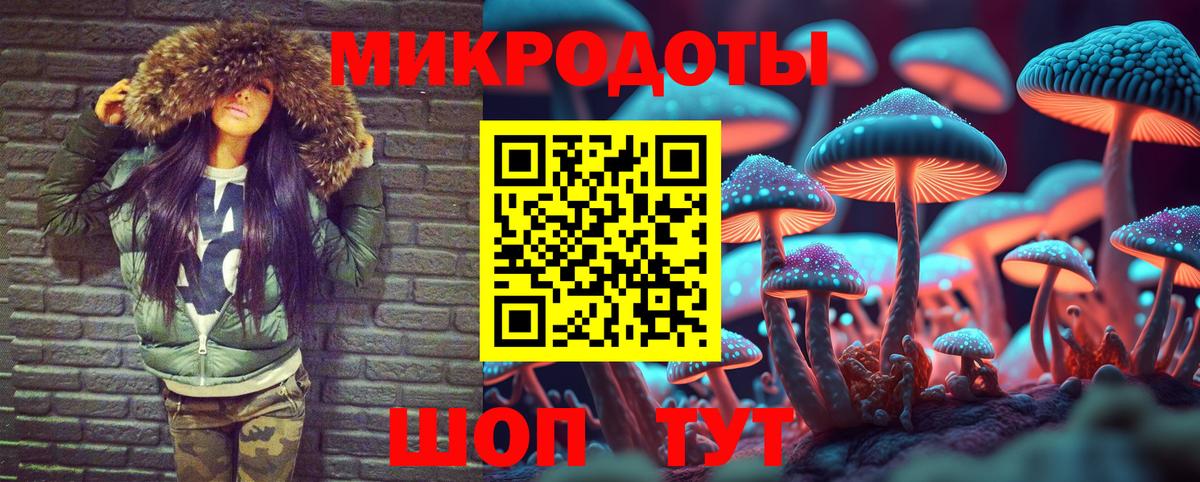 Псилоцибиновые грибы Psilocybine cubensis Лесной
